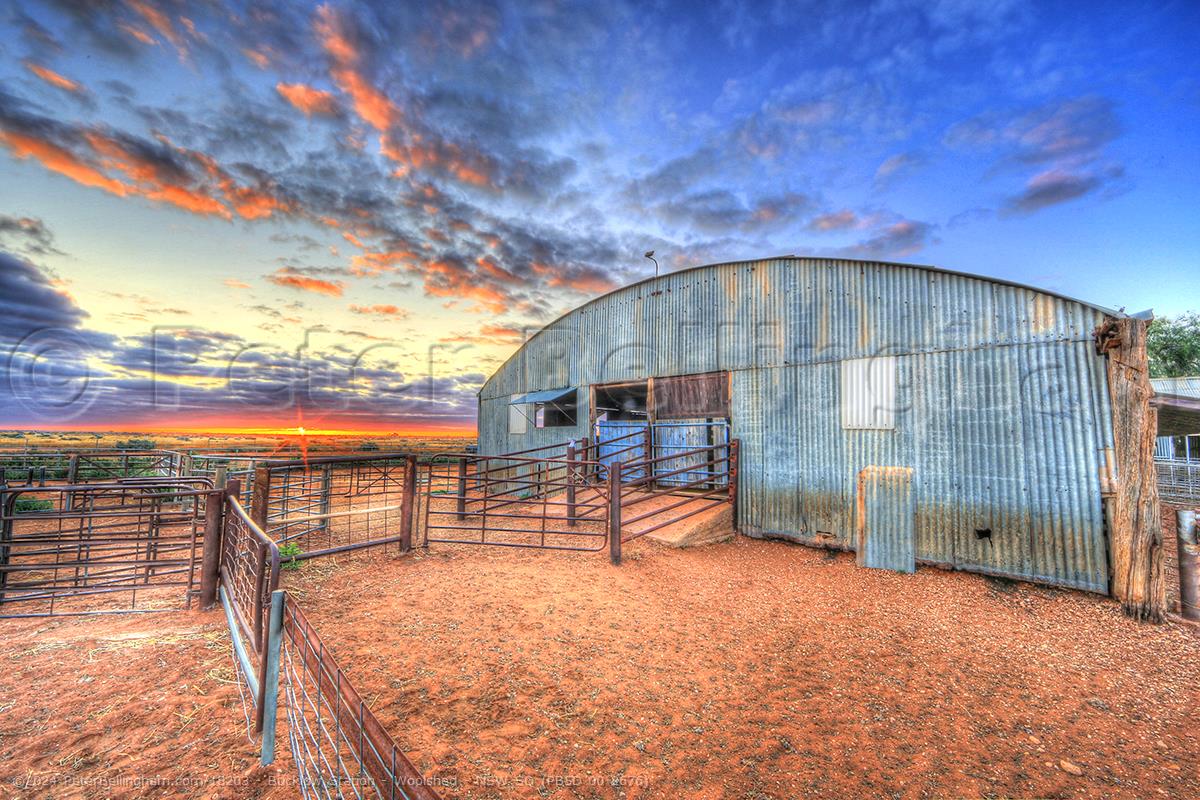 Peter Bellingham Photography Bucklow Station - Woolshed - NSW SQ (PB5D 00 2676)